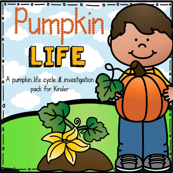 Preview of Pumpkin Life:  Life Cycle and Investigation Kit for Kinder
