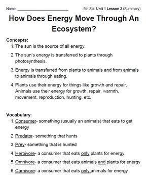 Preview of How Does Energy Move Through Ecosystems? (Unit 1 Part 2) Summary Notes