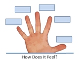 How Does It Feel? The Sense of Touch - Sensory Experience 