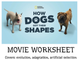 How Dogs Got Their Shapes (Nat Geo) - Movie Worksheet