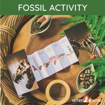 Preview of FOSSIL CRAFT | How Fossils are Formed