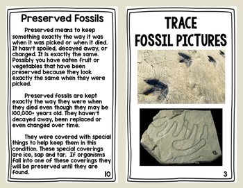 How Fossils are Made Booklet by Cheezy Solutions to Lesson Planning