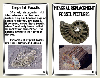 How Fossils are Made Booklet by Cheezy Solutions to Lesson Planning