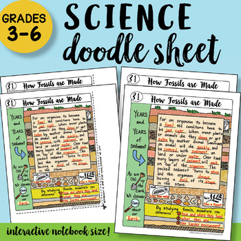 Preview of How Fossils are Made - Doodle Sheet - SO Easy to Use! PPT Included!