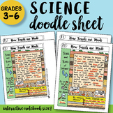 How Fossils are Made - Doodle Sheet - SO Easy to Use! PPT 