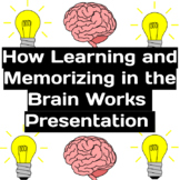 How Learning and Memorizing in the Brain Works Presentation