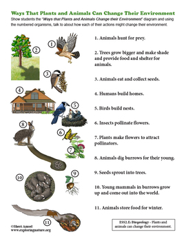 How Living Things Affect Their Environment - Kindergarten NGSS | TPT
