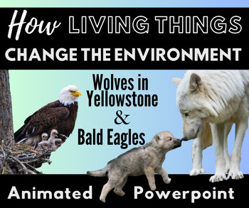 Preview of Living Things Change the Environment - Animated Powerpoint - Wolves and Eagles