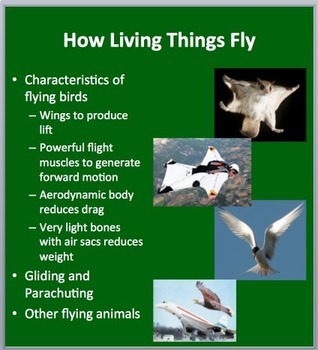 Preview of How Living Things Fly - Google Slides and PowerPoint Lesson