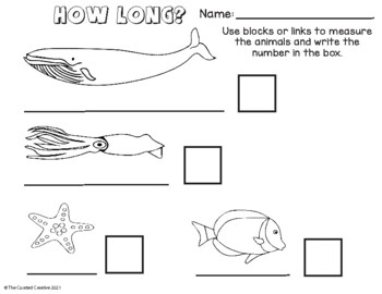 Preview of How Long? Measurement Ocean Animal Worksheet for Pre-K, Kindergarten