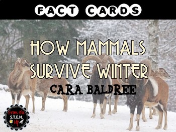Preview of How Mammals Survive Winter FACT CARDS