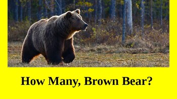 Preview of How Many, Brown Bear?
