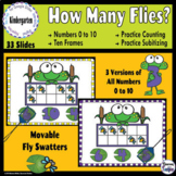 How Many Flies? Ten Frame Counting to 10 GOOGLE SLIDES - D