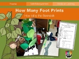 How Many Foot Prints? Measurement Activity