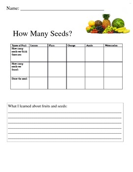 How Many Seeds? by Brittany Jacobs | Teachers Pay Teachers
