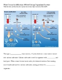 How Ocean Acidification Affects Living Organisms Lecture