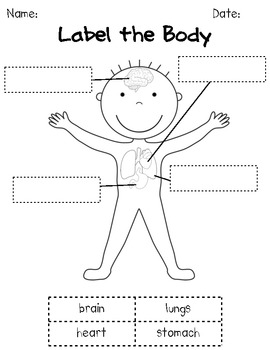 How Our Bodies Work: K/1 Human Body Science Unit by Kimberly Cavett