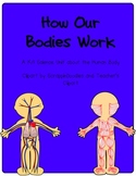 How Our Bodies Work: K/1 Human Body Science Unit