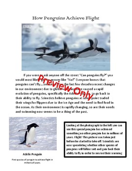 Preview of How Penguins Achieve Flight April Fools Prank