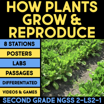 Preview of How Plants Grow & Reproduce 2nd Grade Science Centers Pollinators Seed Dispersal