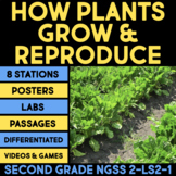 How Plants Grow & Reproduce 2nd Grade Science Centers Poll
