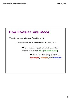 Preview of How Proteins are Made Class Notes (Smart Board)