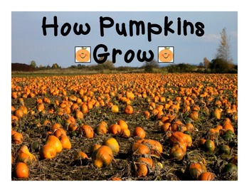 Preview of How Pumpkins Grow