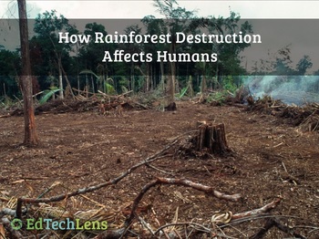 Preview of How Rainforest Destruction Affects Humans Distance Learning PDF