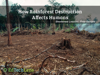 Preview of How Rainforest Destruction Affects Humans PDF - Free Sample