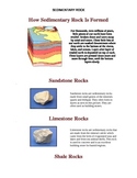 How Sedimentary Rock Is Formed Handout