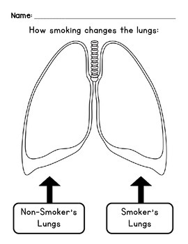 Preview of How Smoking Changes the Lungs
