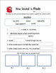 How Sound is Made: Vibrations- Vocabulary Worksheet & Answer Key (1st