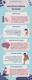 How Stress Affects the Brain Infographic: For High School 