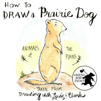 prairie dog drawing step by step