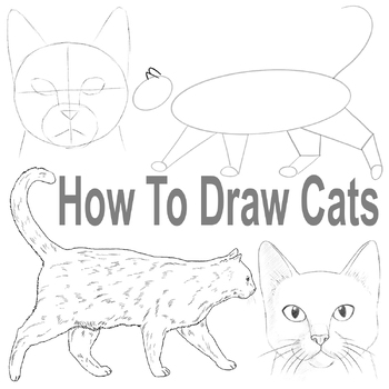 How To Draw Cats by RACHID ABAHABIBI | TPT