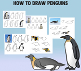 How To Draw Penguins