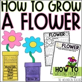 How To Grow a Flower Craft and Writing Template for a Spri