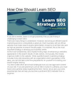 Preview of How To Learn SEO | The Proper 10 Ways that Nobody Tells You