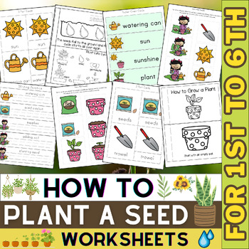 Preview of How To Plant a Seed Worksheets | Grow a Plant Sequencing Worksheets | Spring