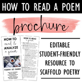 How To Read A Poem Brochure: Helpful Student Guide for Any