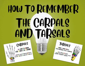 Preview of How To Remember the Carpals and Tarsals!