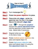 How To Use A Microscope