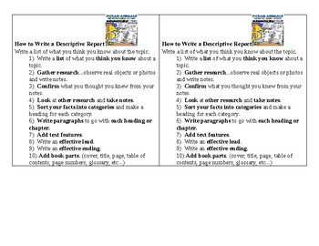 how to write a descriptive book report