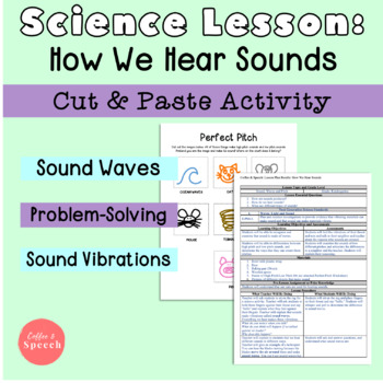 Preview of How We Hear Sounds Lesson Plan & Worksheets