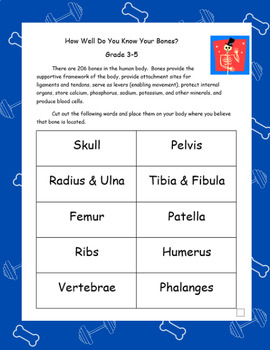 Preview of How Well Do You Know Your Muscles and Bones?  Grade 3-10