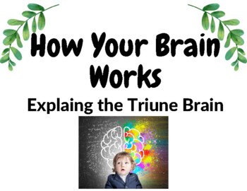 Preview of How Your Brain Works Social Story
