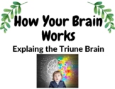 How Your Brain Works Social Story