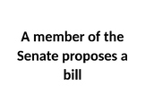 How a Bill Becomes a Law Activity