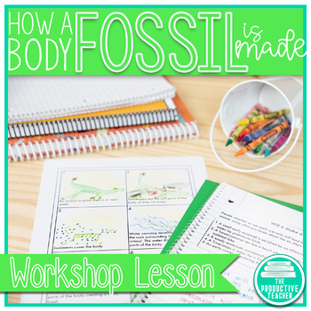 How a Body Fossil is Made - Workshop Lesson and Reading Passage | TpT