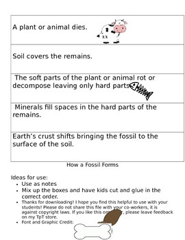 Preview of How a Fossil Forms Ordering Strips